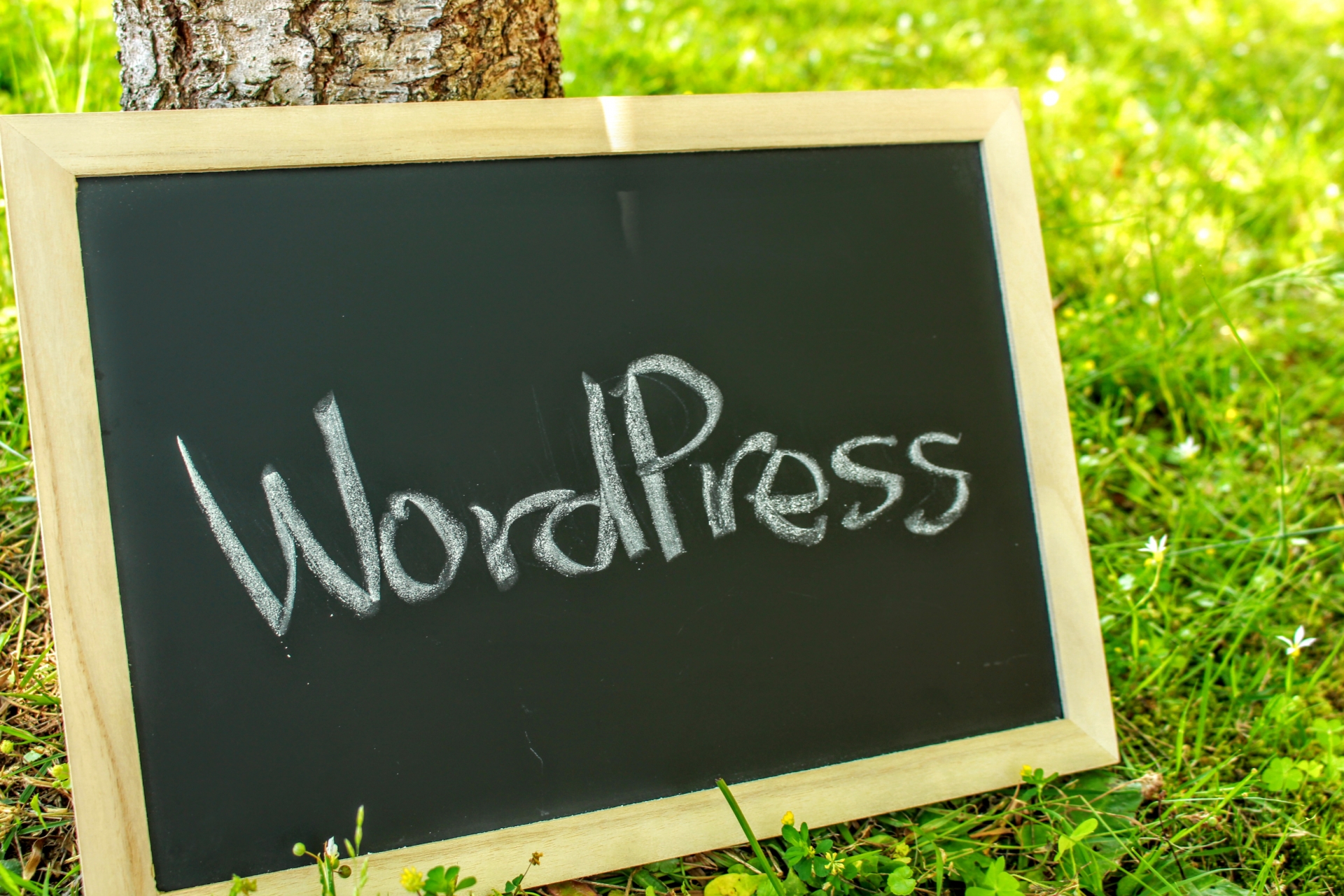 wordpress
